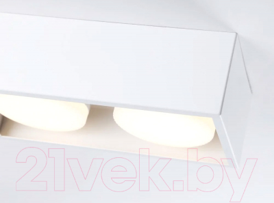Точечный светильник Ambrella Techno Spot TN70828/2 WH (белый)