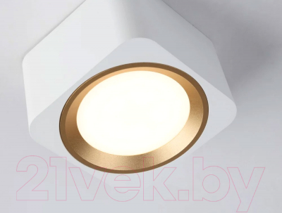 Точечный светильник Ambrella Techno Spot TN70831 WH/GD (белый/золото)