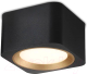 Точечный светильник Ambrella Techno Spot TN70832 BK/GD (черный/золото) - 