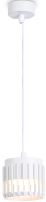 Потолочный светильник Ambrella Techno Spot TN71170 WH (белый)
