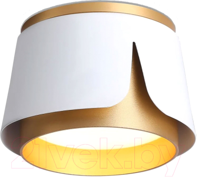 Точечный светильник Ambrella Techno Spot TN71221 WH/GD (белый/золото)