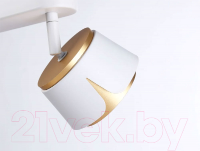 Изображение товара Спот Ambrella Techno Spot TN71229/2 WH/GD (белый/золото)