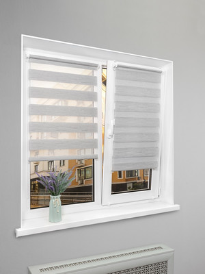 Рулонная штора Lm Decor ДН LB 54-02 48x160 (серебристый) - 