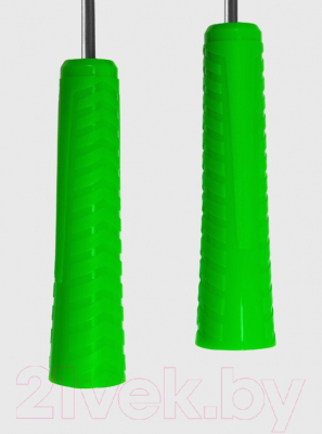Скакалка PROFITNESSLAB 13900  (2.8м, зеленый/черный)