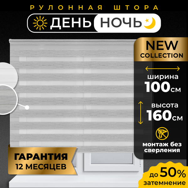 Рулонная штора Lm Decor ДН LB 54-02 100x160 (серебристый)