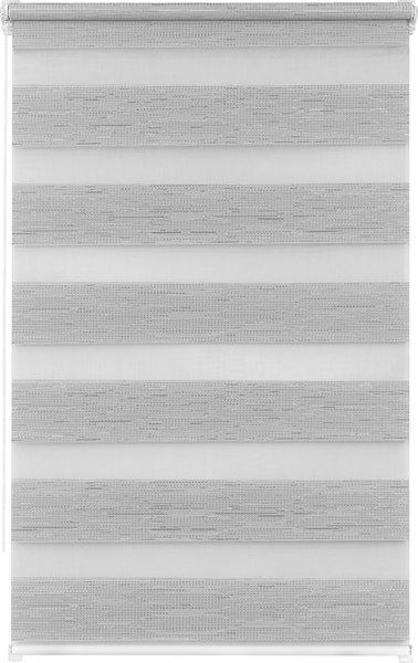 Рулонная штора Lm Decor ДН LB 54-02 100x160 (серебристый)