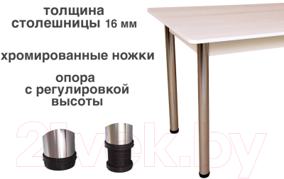 Обеденный стол СВД Юнио 100x60 / 006.П21.Х (снежный ясень/хром)