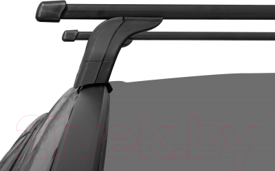 Багажник на крышу Lux БС 2 Xray18i ДЧ 1.1м