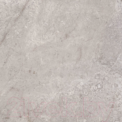 Изображение товара Плитка Beryoza Ceramica Raby GPR бежевый (600x600)