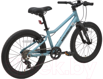 Детский велосипед Maxiscoo 5Bike 20 L 2024 / MSC-M5-2004 (аквамарин)