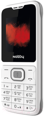 Мобильный телефон Nobby 110 (белый/серый)