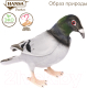 Миниатюра изображения товара Мягкая игрушка Hansa Сreation Голубь сизый / 6299