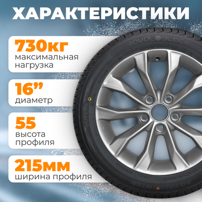 Зимняя шина ROYAL BLACK Royal Winter 215/55R16 97HXL