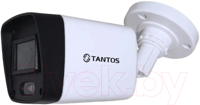 IP-камера Tantos TSi-P2FP (2.8mm)
