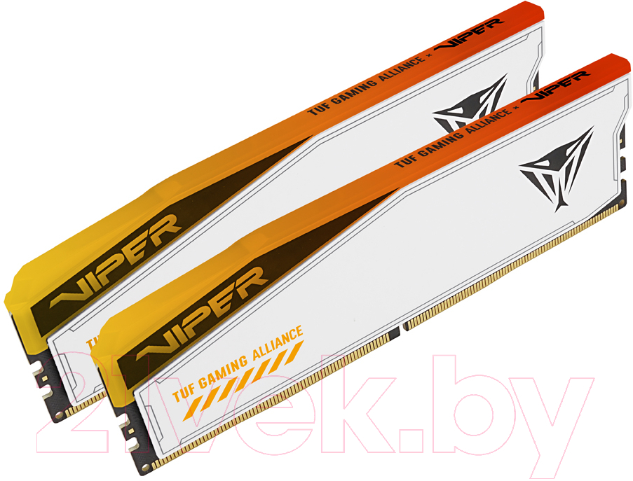 Оперативная память DDR5 Patriot PVER548G66C34KT