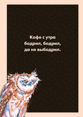 

Блокнот, Сова / 9785041913830