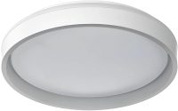 Потолочный светильник Aitin-Pro HY61001 2x32Вт  (серый) - 