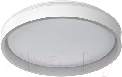 Потолочный светильник Aitin-Pro HY61001 2x32Вт  (серый)