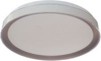 Потолочный светильник Aitin-Pro HY61006 2x32Вт  (сиреневый) - 