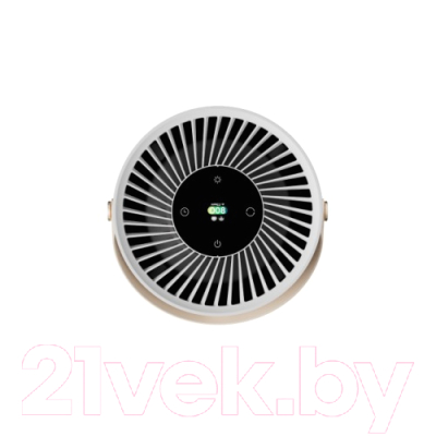 Очиститель воздуха SmartMi Air Purifier P2 / ZMKQJHQP21 (серебристый)