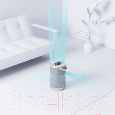Очиститель воздуха SmartMi Air Purifier P2 / ZMKQJHQP21 (серебристый)