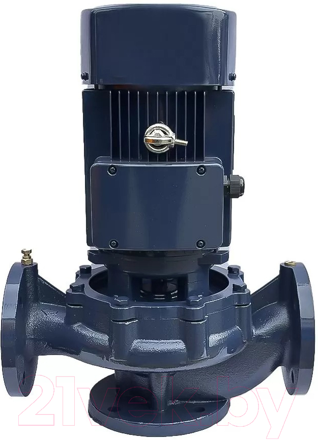 Циркуляционный насос Maxpump IL 50-220/11
