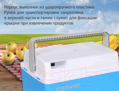 Автохолодильник StarWind CF-123 (синий/серый)