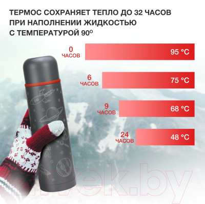 Термос для напитков StarWind 21-1000/2 (графитовый)