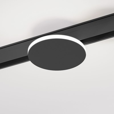 

Трековый светильник, Slim Magnetic Cally 85172/01 4W 4000K
