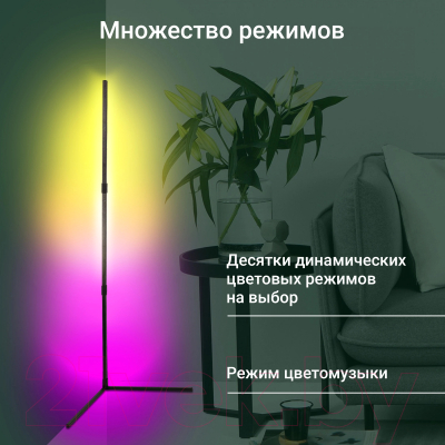 Торшер Digma FloorLight FL11 (черный)