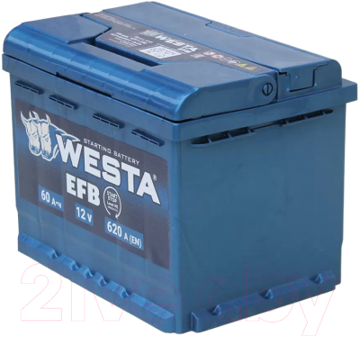 Автомобильный аккумулятор Westa EFB 6СТ-60 VLR Euro ПEFB0006 (60 А/ч)