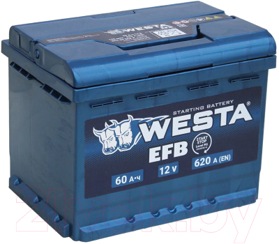Автомобильный аккумулятор Westa EFB 6СТ-60 VLR Euro низкий ПEFBн0004 (60 А/ч)