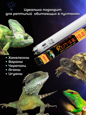 Лампа для террариума Lucky Herp Reptile UVB T8 Fluorescent Tube 15W UVB 10.0 / 012