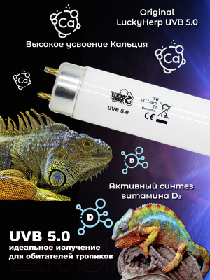 Лампа для террариума Lucky Herp Reptile UVB T8 Fluorescent Tube 15W UVB 5.0 / 011