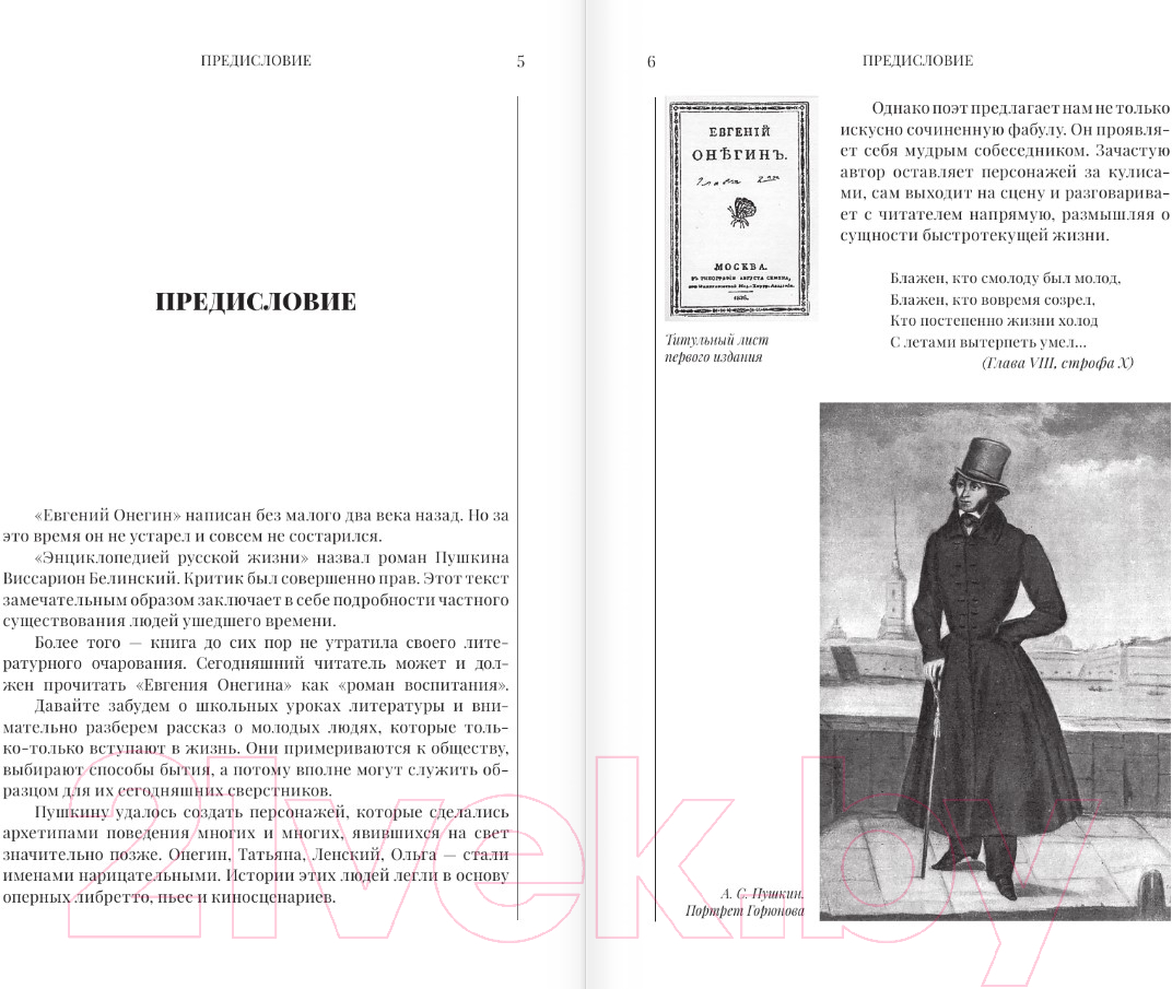 Художественная книга АСТ Евгений Онегин. Шедевры мировой литературы / 9785171635626 (Пушкин А.С.) — фото 2