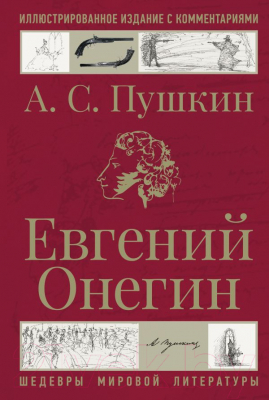 Книга АСТ Евгений Онегин. Шедевры мировой литературы / 9785171635626 (Пушкин А.С.)