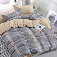 Комплект постельного белья Alleri Поплин Luxe евро max / П-301 - 