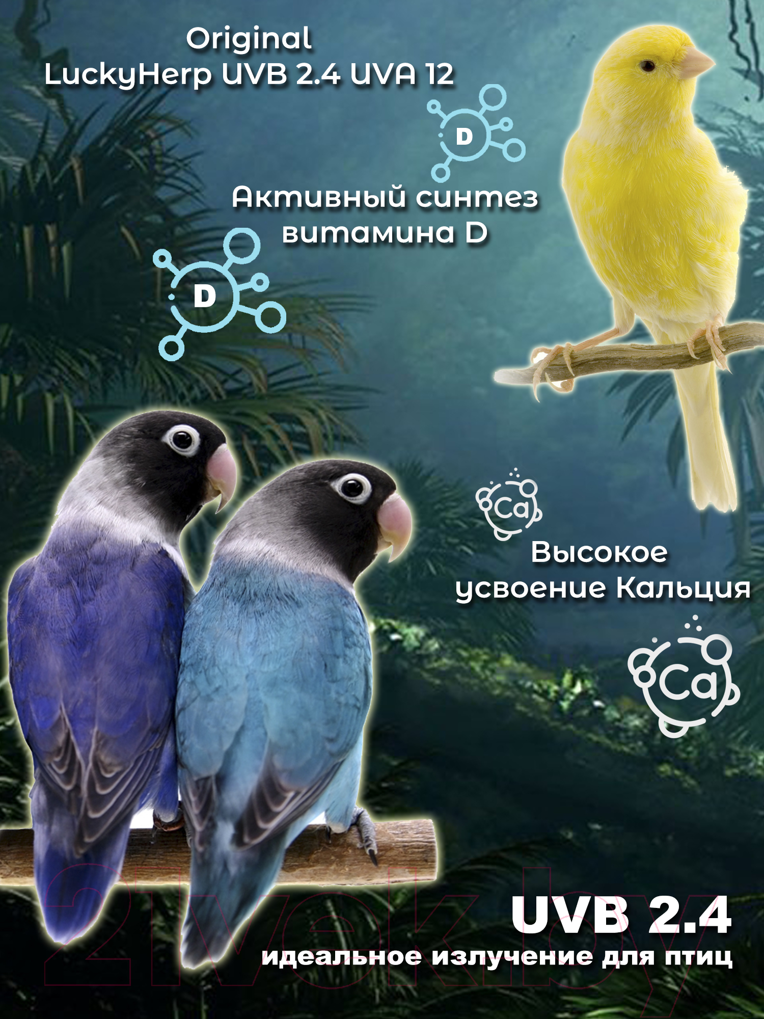 Лампа для птиц Lucky Herp Bird UVB Lamp 20W UVB 2.4 / 002