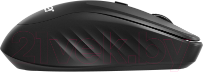 Мышь Acer OMR300 / ZL.MCECC.01R  (черный)