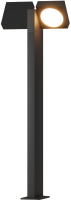 Светильник уличный Elektrostandard Twin 35170/F (черный) - 