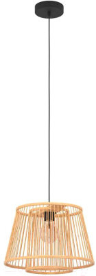 Изображение товара Потолочный светильник Eglo Hykeham 43852