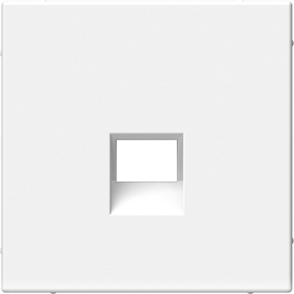 Лицевая панель для розетки Systeme (Schneider) Electric ArtGallery GAL000184