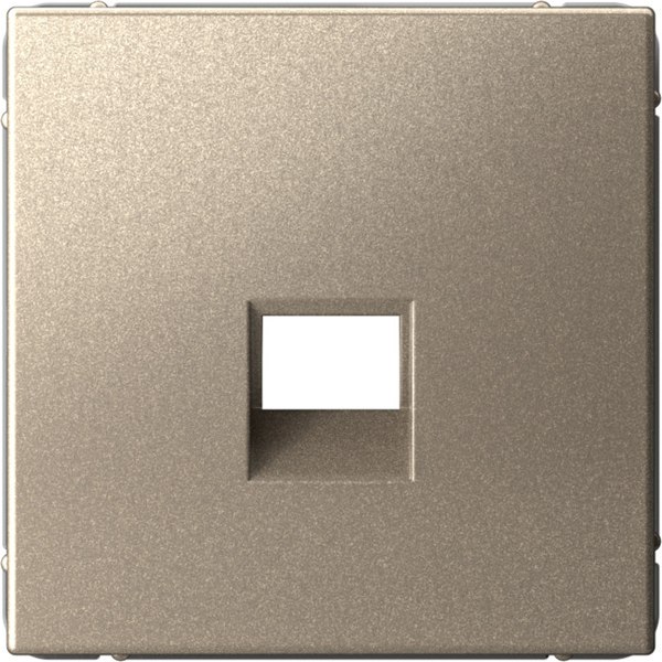 Лицевая панель для розетки Systeme (Schneider) Electric ArtGallery GAL000584