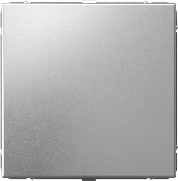 Декоративная заглушка для розетки Systeme (Schneider) Electric ArtGallery GAL000309
