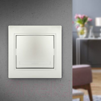 Изображение товара Выключатель INTRO Plano 1-101-06 / Б0053726