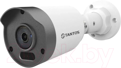 IP-камера Tantos TSi-P4FP (2.8mm)