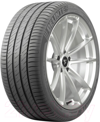 Летняя шина Delinte DS-2 SUV 225/70R16 103H