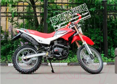 Irbis Motors TTR 250R (зеленый) Мотоцикл купить в Минске, Гомеле ...