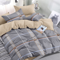 Комплект постельного белья Alleri Поплин Luxe 2сп с европростыней / П-301 - 