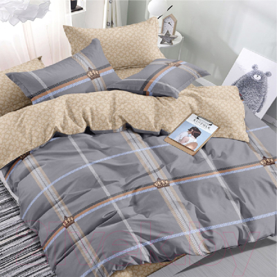 Комплект постельного белья Alleri Поплин Luxe 2сп с европростыней / П-301